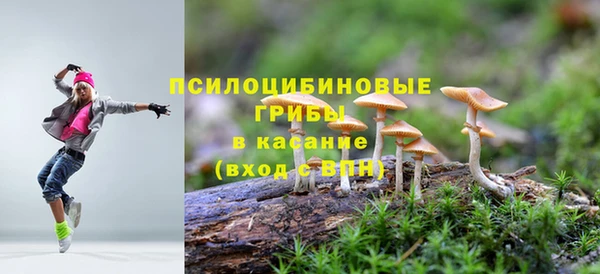 мет Белокуриха