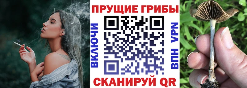 наркошоп Олёкминск Галлюциногенные грибы прущие грибы