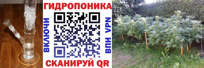 Шишки марихуана тримм  Олёкминск 
